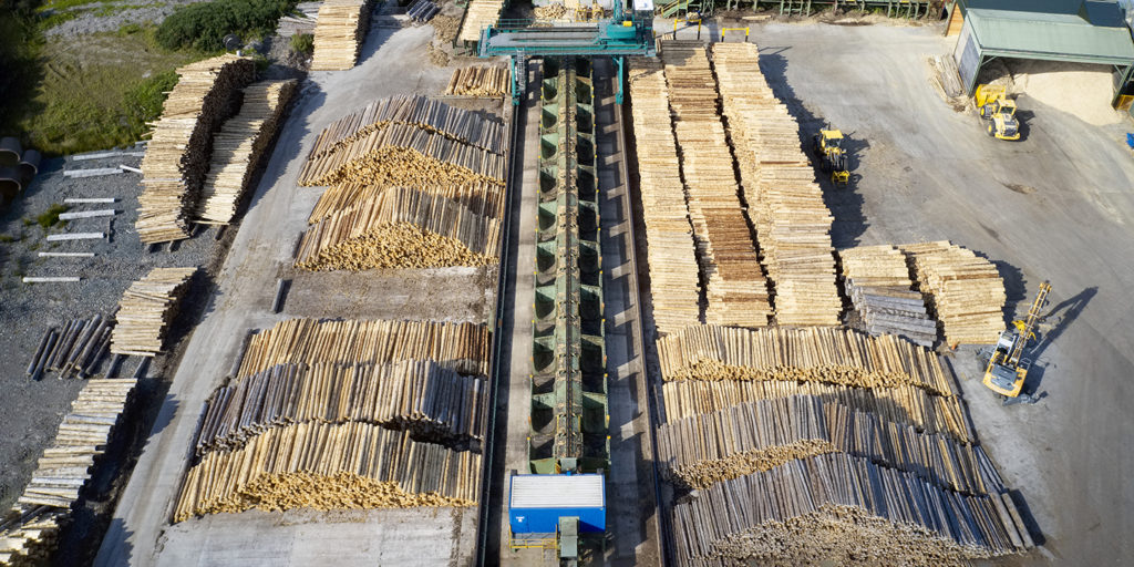 Sawmill aerial view chopped tree wood logs stacks in a row with machinery